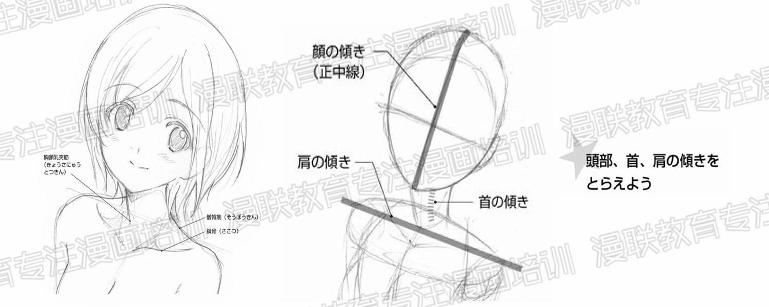 漫画角色的绘制技巧？根据颈部倾斜表现角色心情！