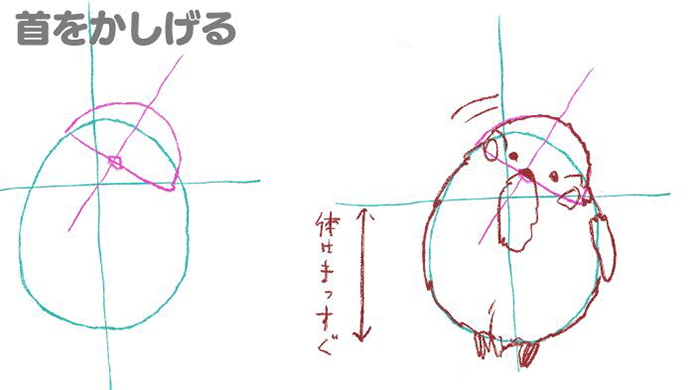 鸟的各种姿势的画法！