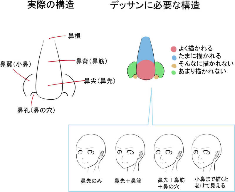 如何画鼻子的技巧!