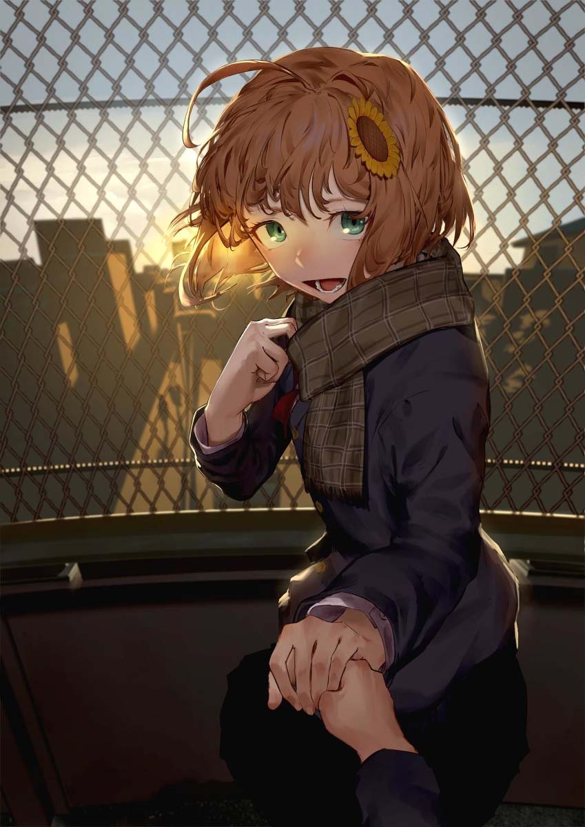 分享一些看到就觉得超治愈的动漫插画！