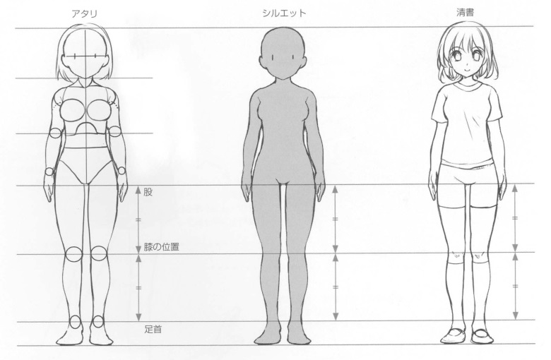 【基础】腿、膝盖和脚踝之间的平衡学习！