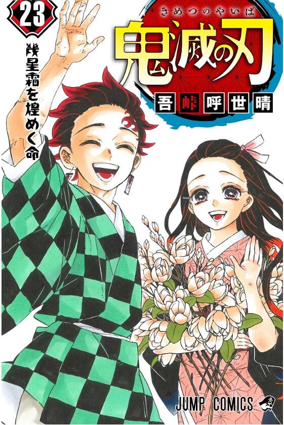 《鬼灭之刃》今天也在打十个